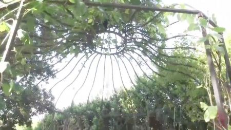 Mother Son Real Homemade