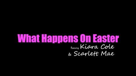 Post Op Shemale Pussy