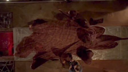 Tocandola En El Metro