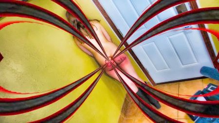 Zorrita Foxy Putita Tijuana 1 2