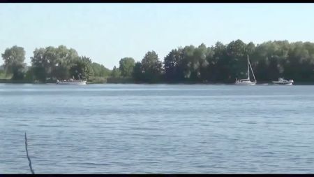 Japanese Business Woman Bus