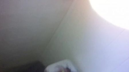 Sani Lioen Saxy Vidio